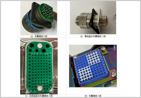 電連接器霉菌試驗.jpg